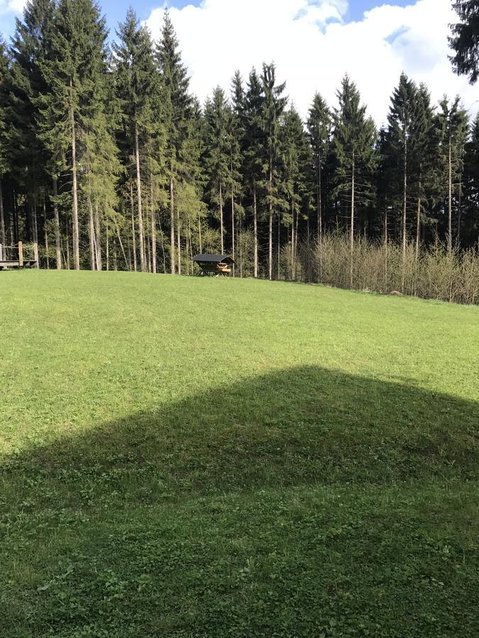 Chalet6Harrachov Se Saunou מראה חיצוני תמונה