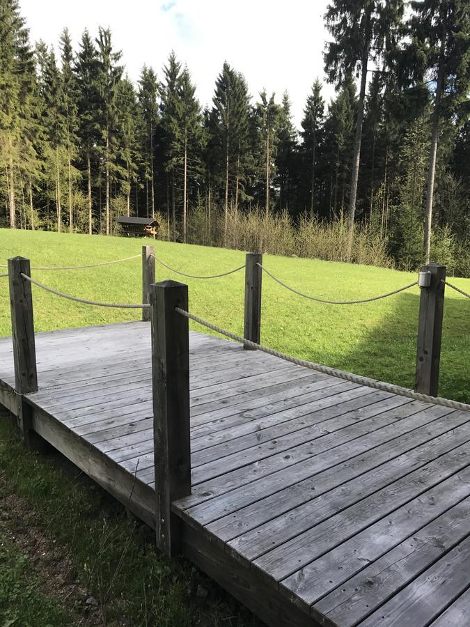 Chalet6Harrachov Se Saunou מראה חיצוני תמונה