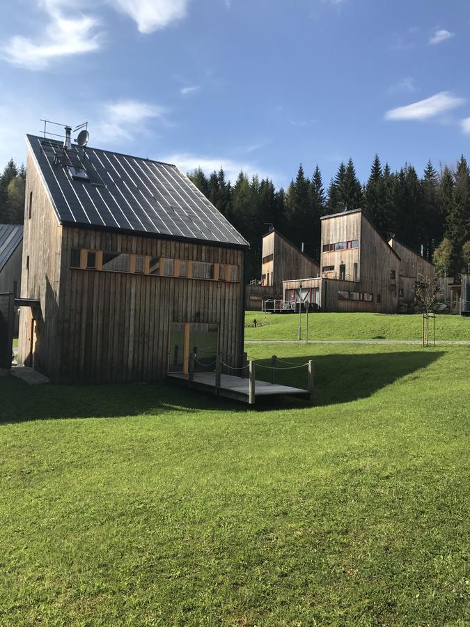 Chalet6Harrachov Se Saunou מראה חיצוני תמונה