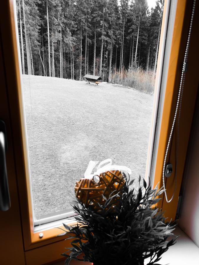 Chalet6Harrachov Se Saunou מראה חיצוני תמונה