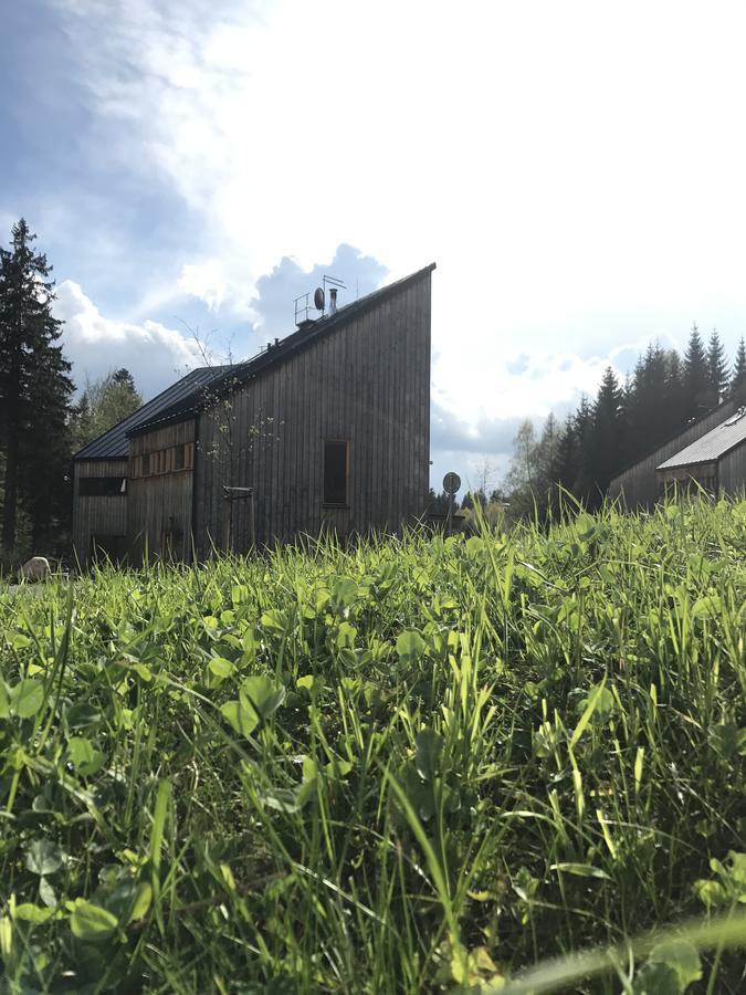 Chalet6Harrachov Se Saunou מראה חיצוני תמונה