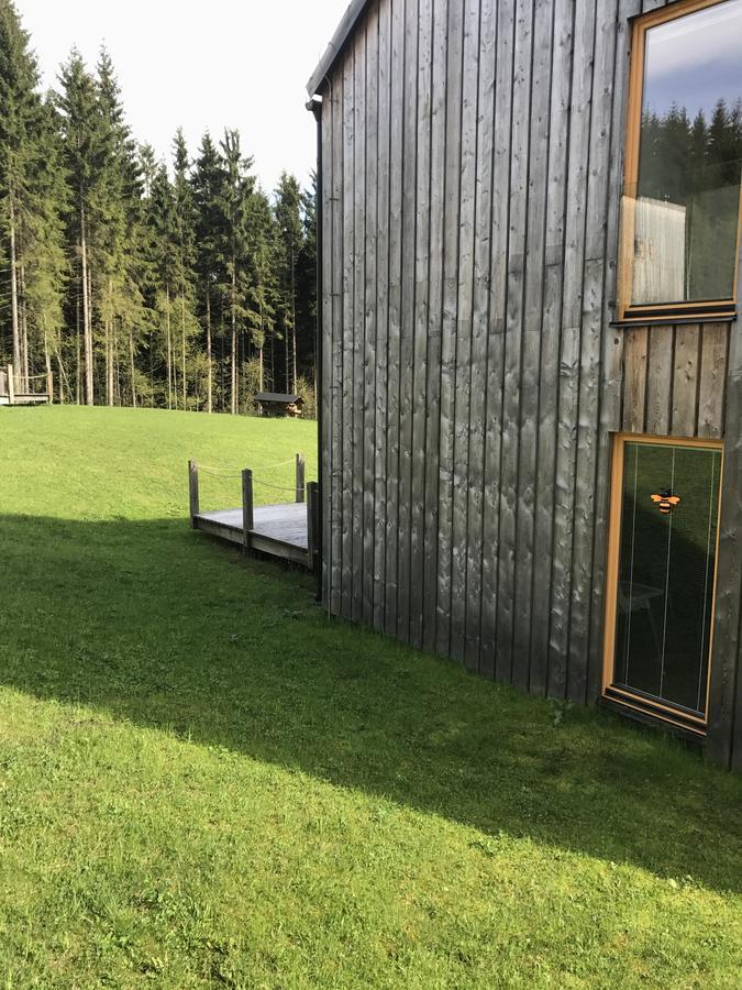 Chalet6Harrachov Se Saunou מראה חיצוני תמונה